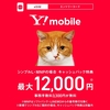 【最大12,000 円相当キャッシュバック】Y!mobile eSIM(オンライン完結)【5G対応格安SIM/月額990円~※1】エントリーコード