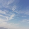 見上げた空。