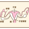 2023年不妊治療へ行く