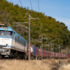 2025/01/18 1063レ EF81 454号機