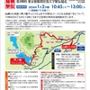 箱根駅伝の車事情の解説
