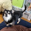 まろにー3539日目