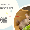【チンチラの鳴き声】種類とそれぞれの意味を解説