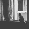 そう言えるのは、まだ若いから？  もう年寄りだから？
