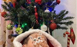 記事を見る
