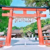 京都のお気に入りのパワースポット〜夏越の祓