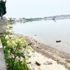 ５月２５日　「私」をどう認識規定するか。