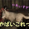 【キャッスルヴァニア　ロードオブシャドウ２】「調べ始めたら霧がない」初見プレイでまたまた難易度ハード　ゆっくり実況その１８