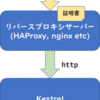 ASP.NET CoreでプロキシサーバーでSSL terminateさせるときにRequest.Schemeをhttpsにしたい