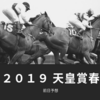 【競馬】２０１９天皇賞春の前日予想