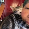 熱中症は舐めちゃいかん。
