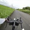 自転車とアウトドアチェア