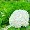どんな変化があろうとも変えたくないもの