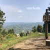 【富山・御殿山】南房総ハイキング