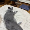 散骨まで、あと少し