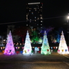 駅とまちをつなぐ杜のイルミネーション『金公園イルミネーション』