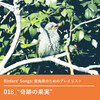 “奇跡の果実”――Birders' Songs（バーダーのための野鳥音楽プレイリスト）018