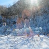 あしがくぼの氷柱（埼玉県秩父郡横瀬町）