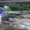 またまたこの季節がやってきたので　『長門峡で川遊び』　Part.2
