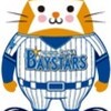　『ＤｅＮＡ横浜ベイスターズ』   