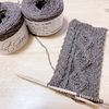 【Holst Garnの毛糸で編む】新しくアラン模様のくつ下を編み始めました