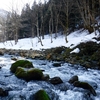 早春の渓流に佇む