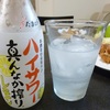 ハイサワーで妊婦もお酒気分！夏バテ解消にもオススメ