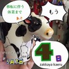 「もう」あと4日！生き物モチーフなら是非当店へ！！雑貨＆アクセサリー