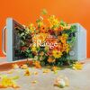 DISH// HALL TOUR 2026 "aRange"