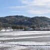 京都の雪景色を楽しむ！「広沢池」幻の川・静寂の「常照皇寺」・雪に埋もれそうな「美山かやぶきの里」