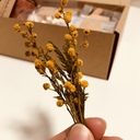 何才