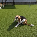 オワコンサラリーマンのお気に入り