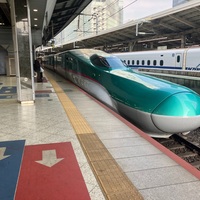 【春の弘前帰省最終回】仙台→千葉：E5系はやぶさ40号(時刻表付き)とE259系しおさい13号での帰路。特別出演：E2系J75編成