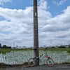 データとタイヤが失われた週末