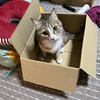 GW残り三日。