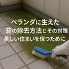 ベランダに生えた苔の除去方法とその対策｜美しい住まいを保つために