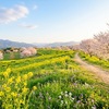 努力が無駄になる瞬間を、私はまだ見たことがない