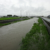 降り過ぎです、雨　　太陽を見ない日が続きます。