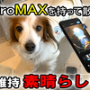 VLOG GoProMAX 水平維持が凄いです