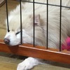 よくしゃべる脳だな