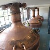 　Great Northern Distillery(グレートノーザンディスティラリー)操業開始！