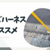 キッズハーネスのススメ