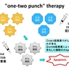 【文献紹介】細胞老化を利用した肝臓がん治療