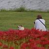 今はその気になれないの・・・