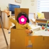 手作り段ボールトンネル と、Hulu