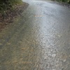 自転車で雲の中へ・・・。