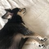 まろにー1171日目