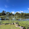 白樺湖リゾート
