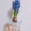いただきますを、一緒に言いたい