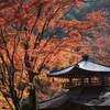 京都洛西地区散策 (清滝～落合～清滝～愛宕神社一の門～大覚寺～きぬかけの道～出町柳駅)